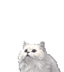User7 Pic12 1382816396 Thumb